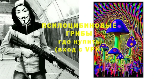 ешки Липки