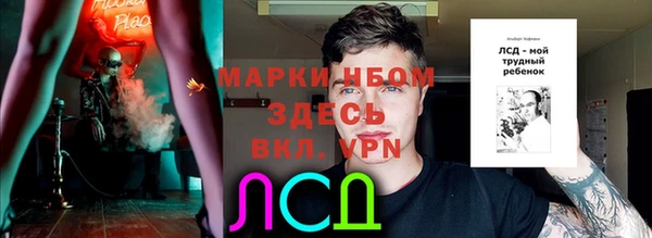ешки Липки